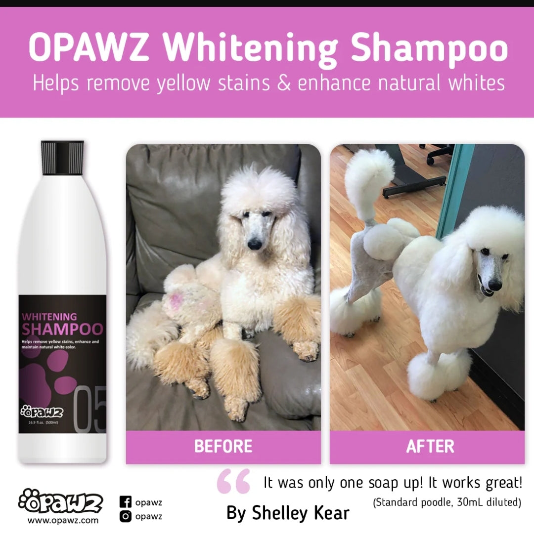 whitening shampoo