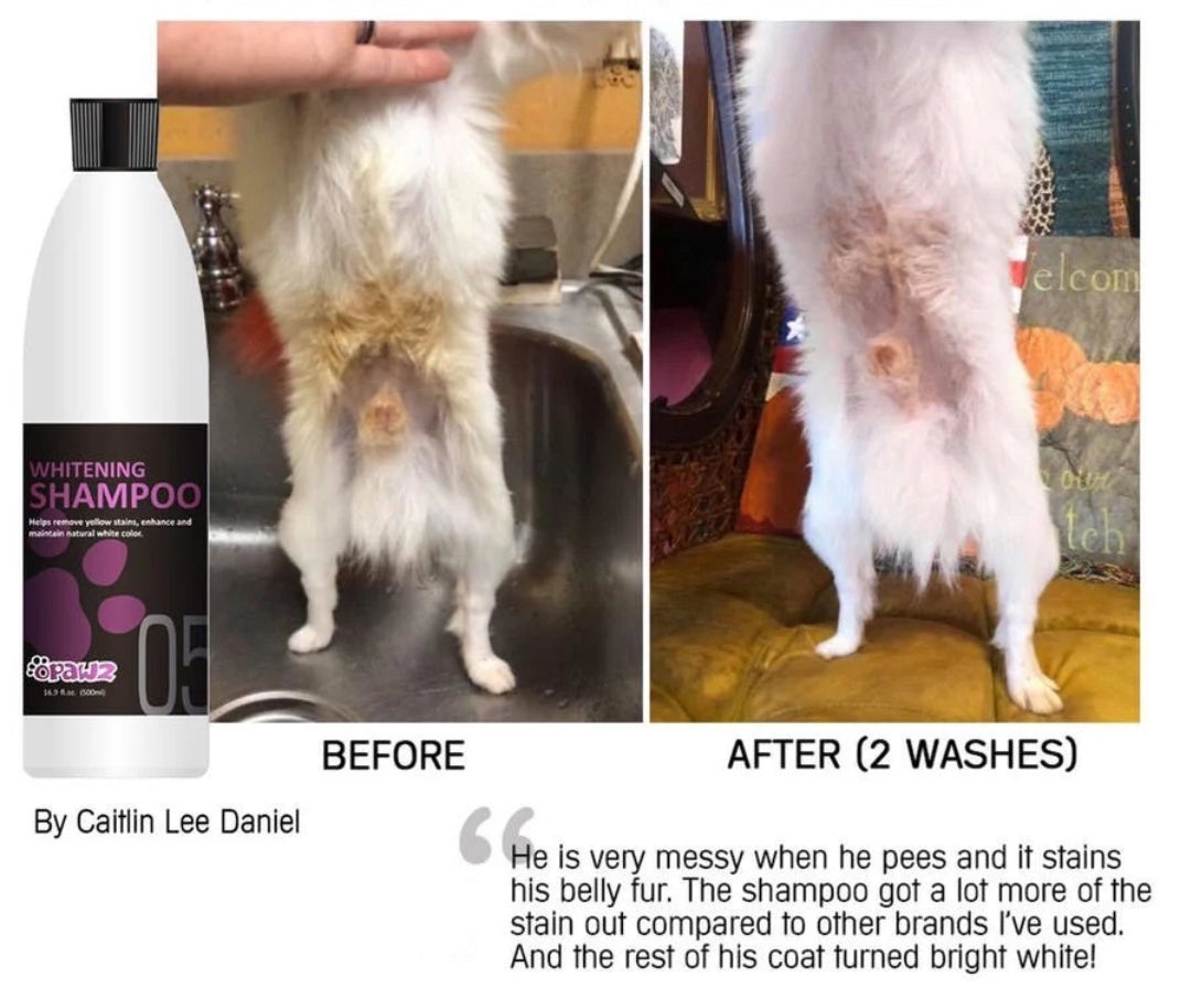 whitening shampoo