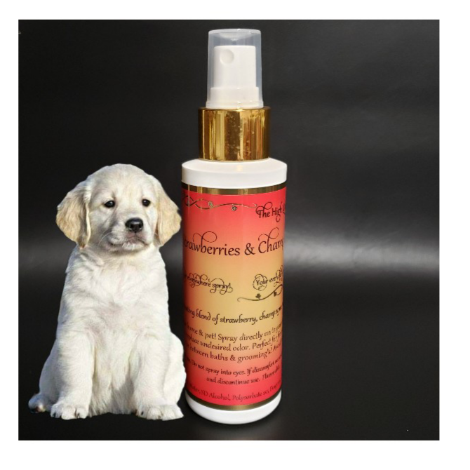 strawberries & champaign fragrance perfume for dogs
