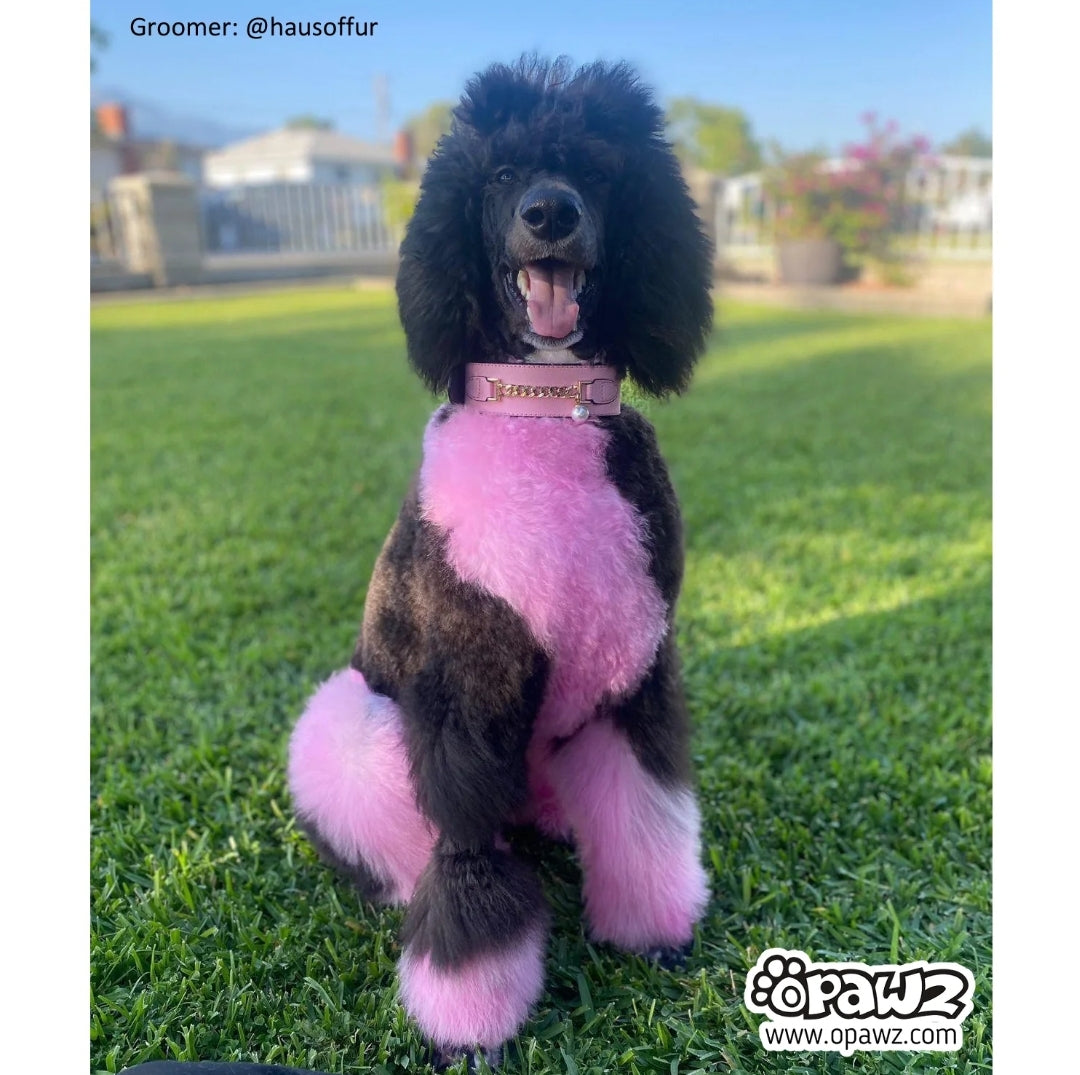 charm pink permanent hair dye