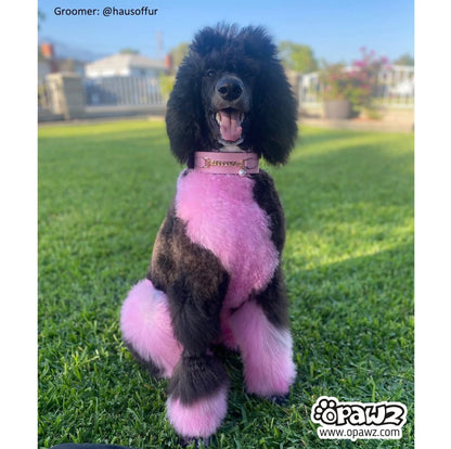 Charm Pink Permanent Hair Dye
