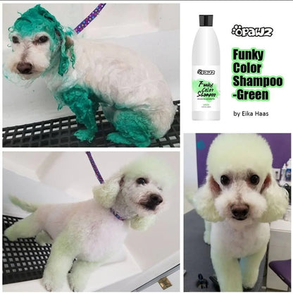 Green Color Shampoo
