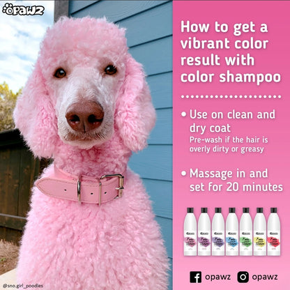 Green Color Shampoo