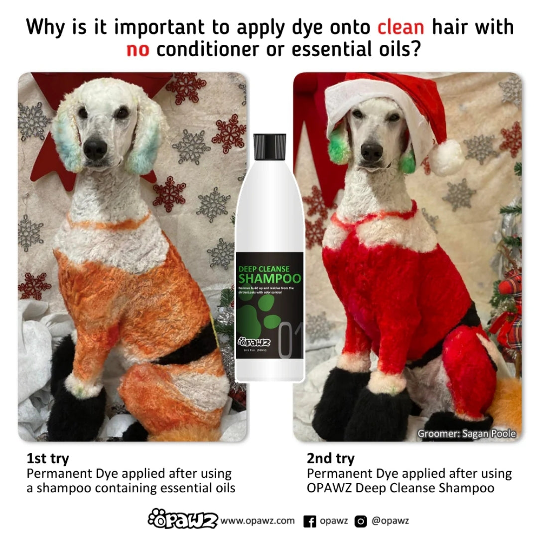 deep cleanse shampoo