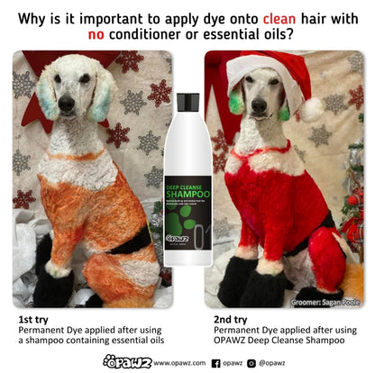 Deep Cleanse Shampoo