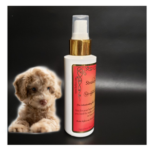 Strawberries & Champaign Fragrance Perfume For Dogs